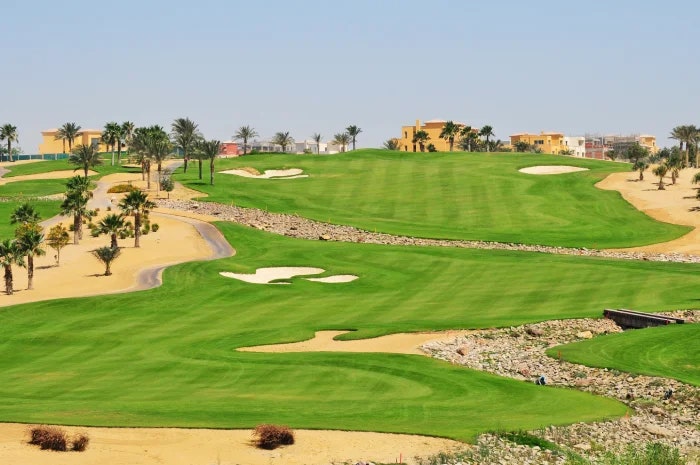 Golf course with palm trees and villas at Palm Hills